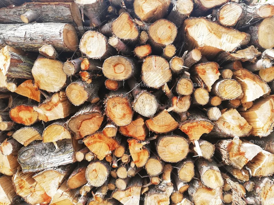 Background of logs cut to make wood