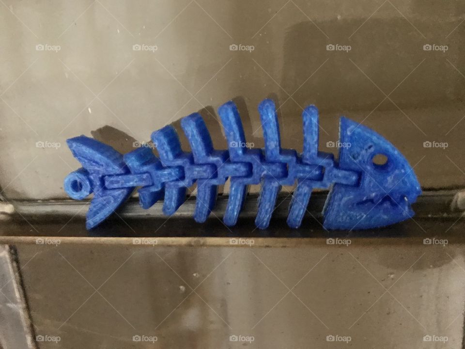 This is a blue 3D printed fish. It’s moveable and is made out of 8 pieces. This fish has it’s own album. Search for: “3D printed fish” in albums, or just look at my profile for the album.