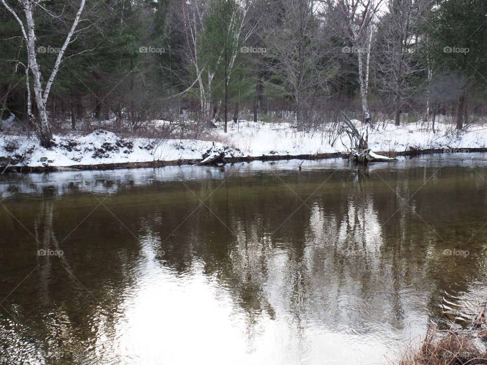 Northern Michigan 