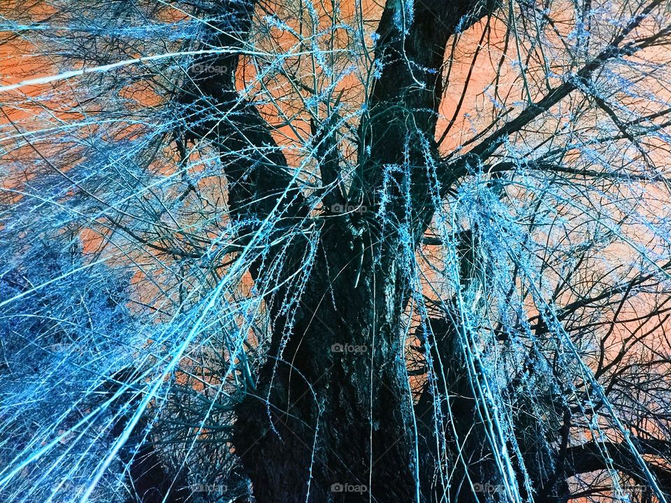 enhanced tree