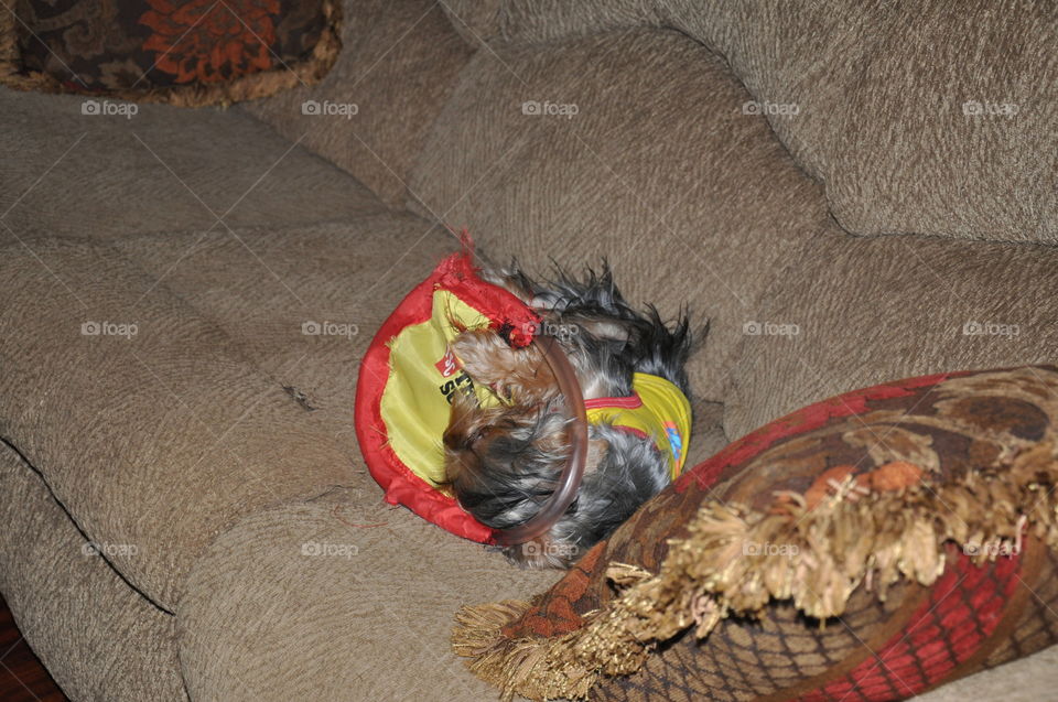 Drake doesn't want to put toy down