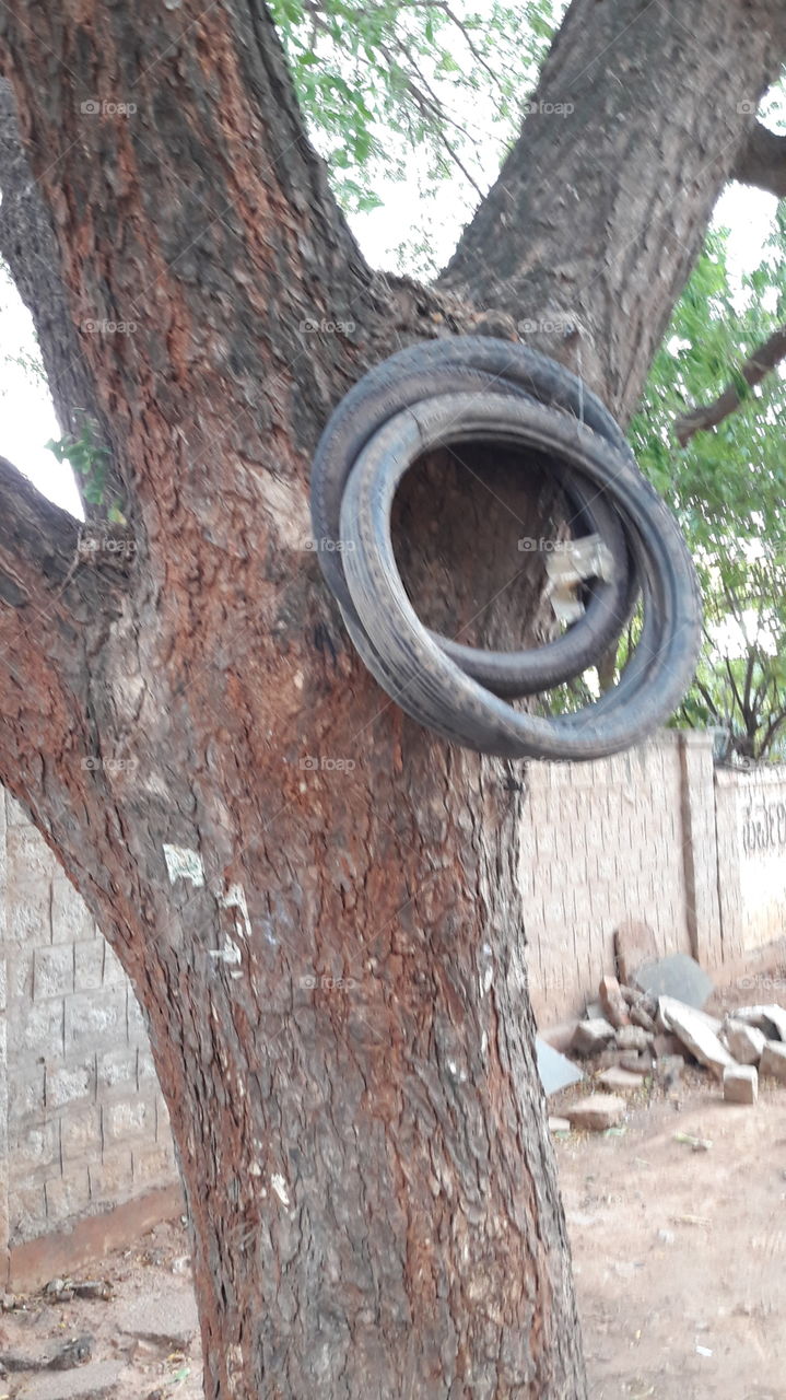 tyre tree