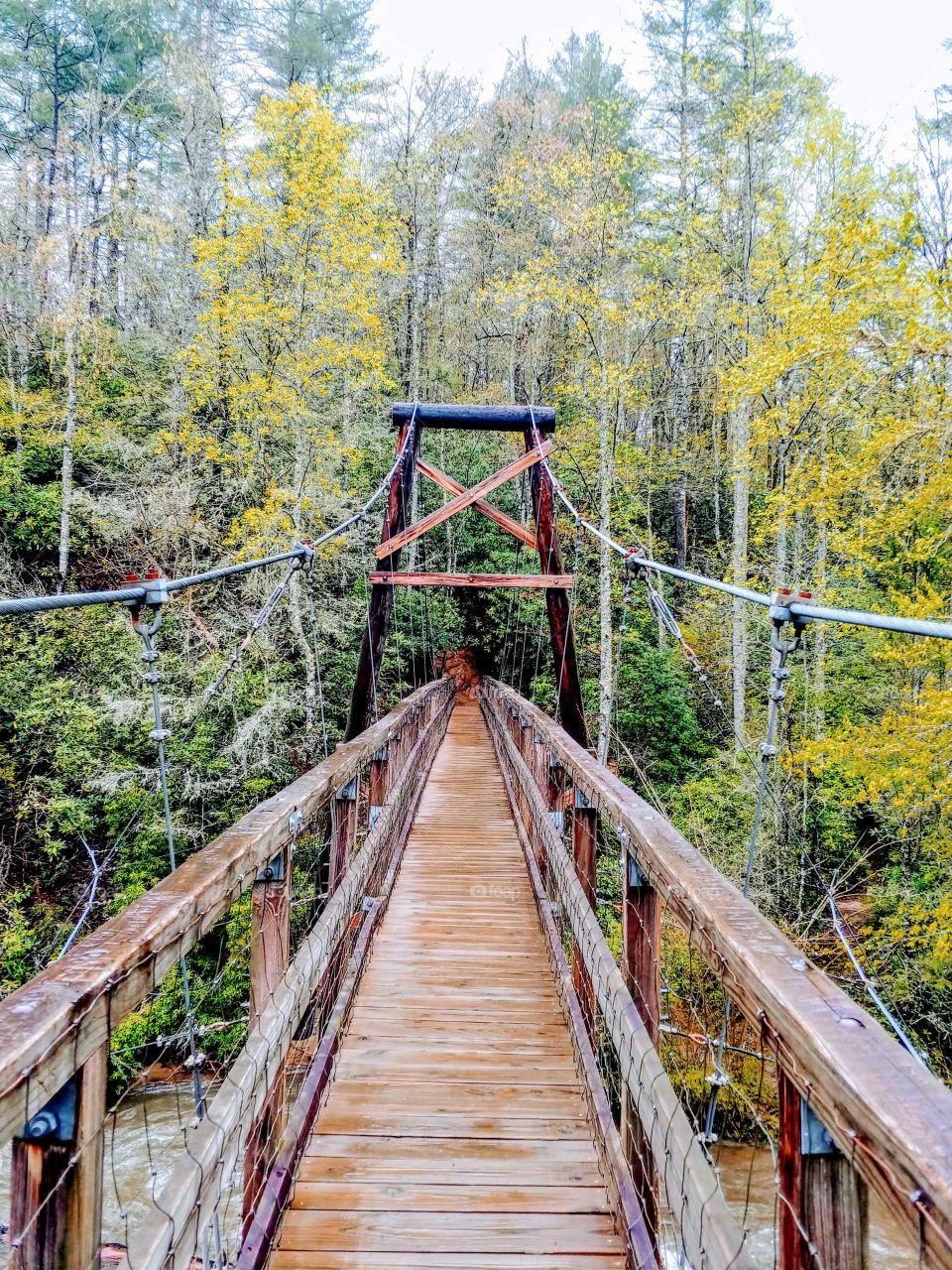 wood bridge