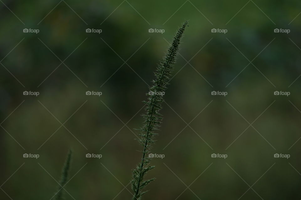 This is my first time