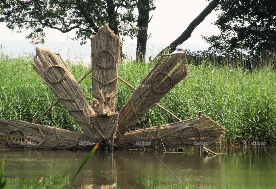 nature art in the Lithuania Neringa