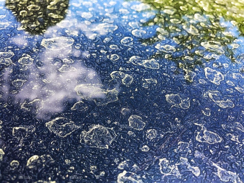 Pollen in the rain...