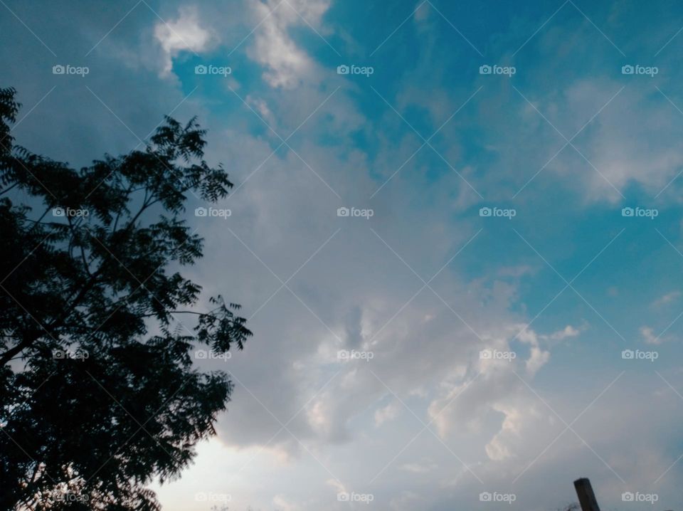 a shiney day white clouds in blue sky whitish cloud scattered dark tree looks very beautiful