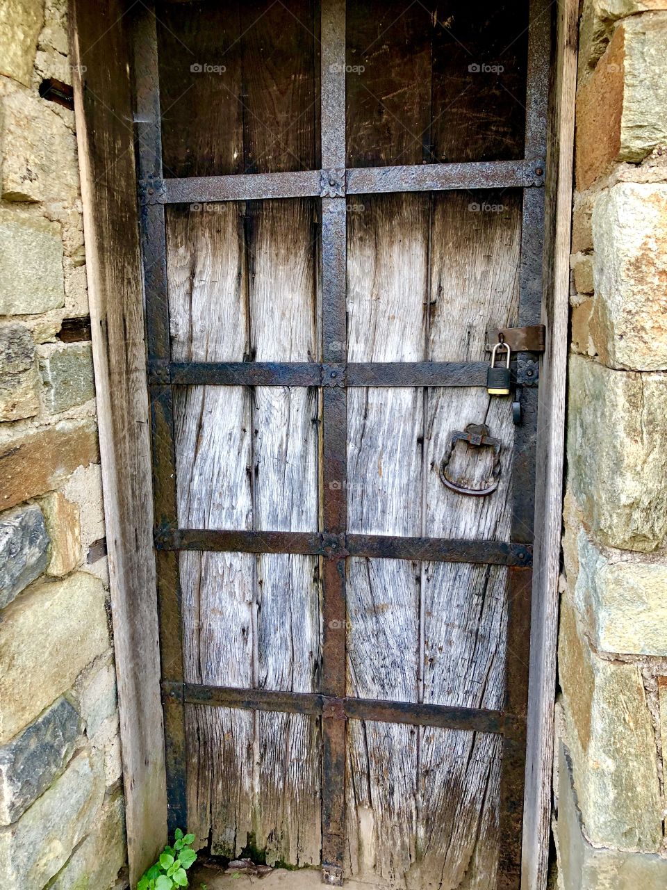 Old garden shed door