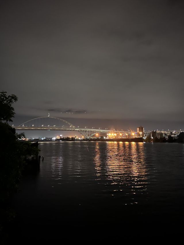 Wondering nights 