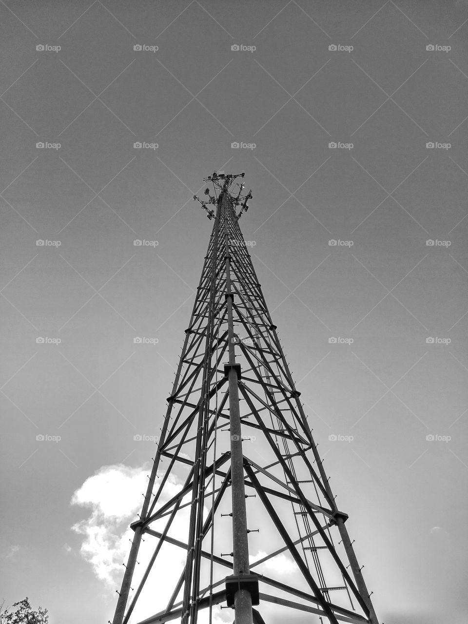 black and white tower cellular
