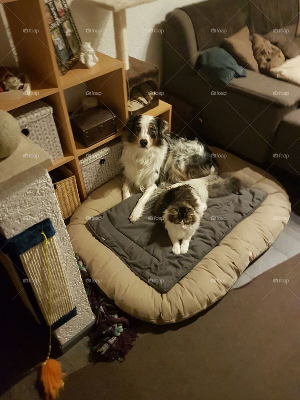 They share a bed