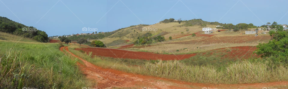 Panorama of Earth's Bright Colors in Landscape