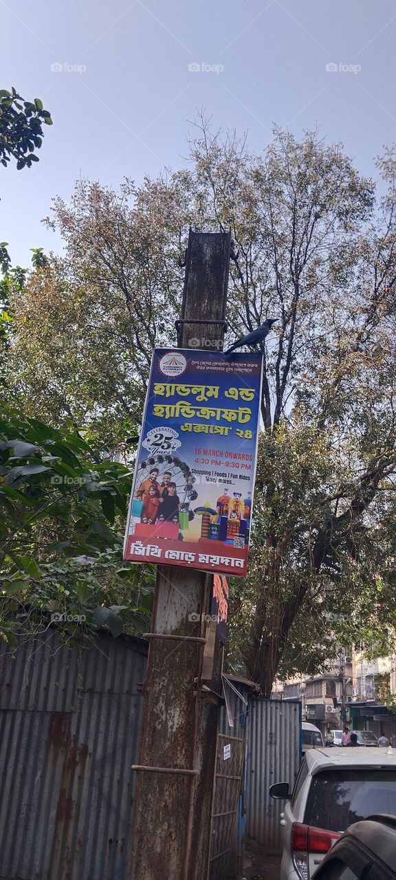 The crow is waiting for something.