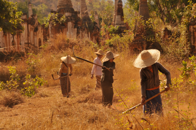 women temple working asian by fujijapan