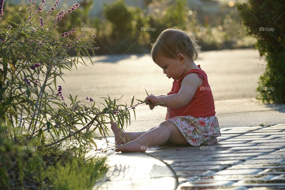 Child, Girl, Nature, Summer, Outdoors