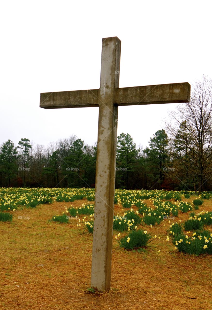 Springtime in Arkansas. This cross is at Wye Mountain in Arkansas. There are thousands of daffodils planted here. 