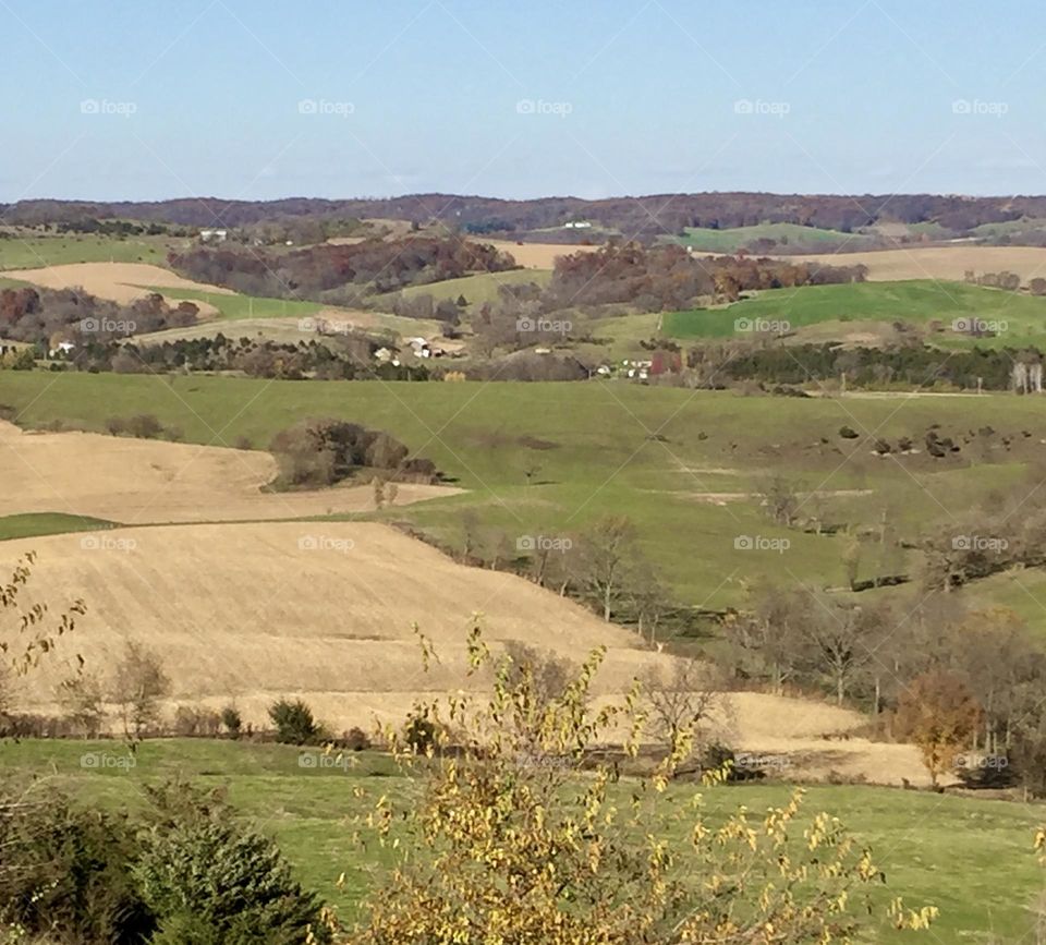 Autumn Farmland 