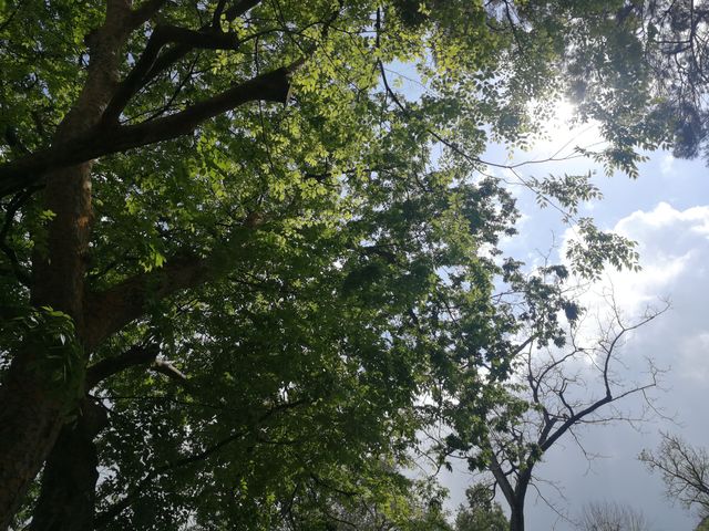 Rome park