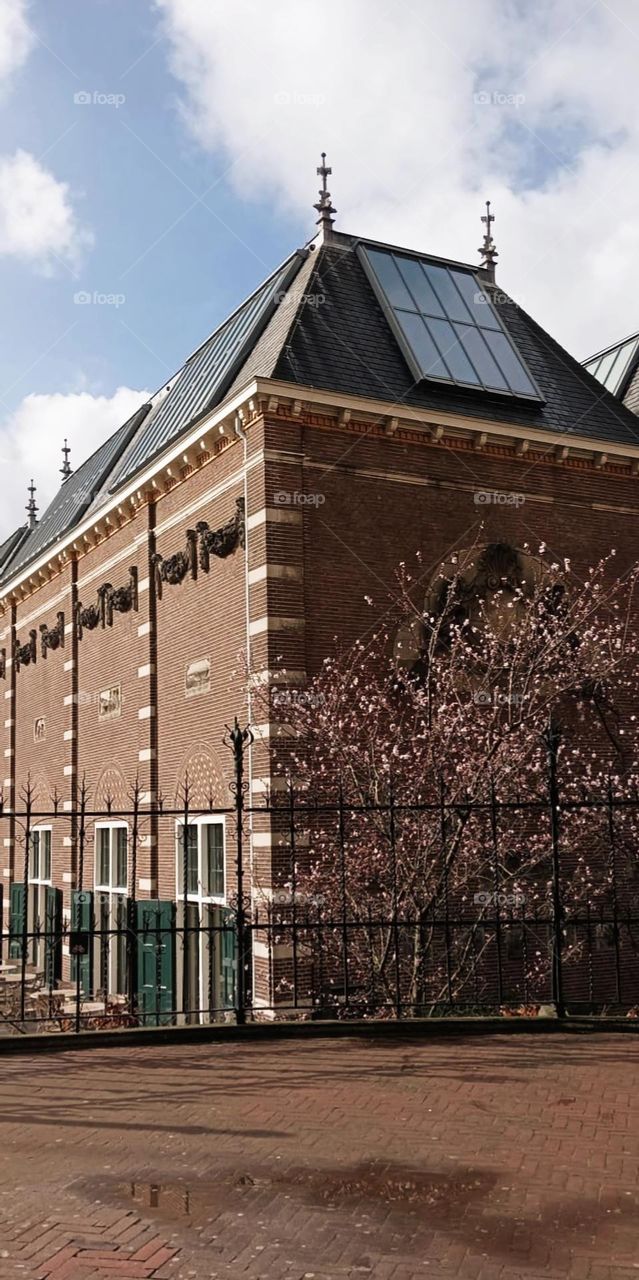 Old Dutch building with almond blossom in the foreground