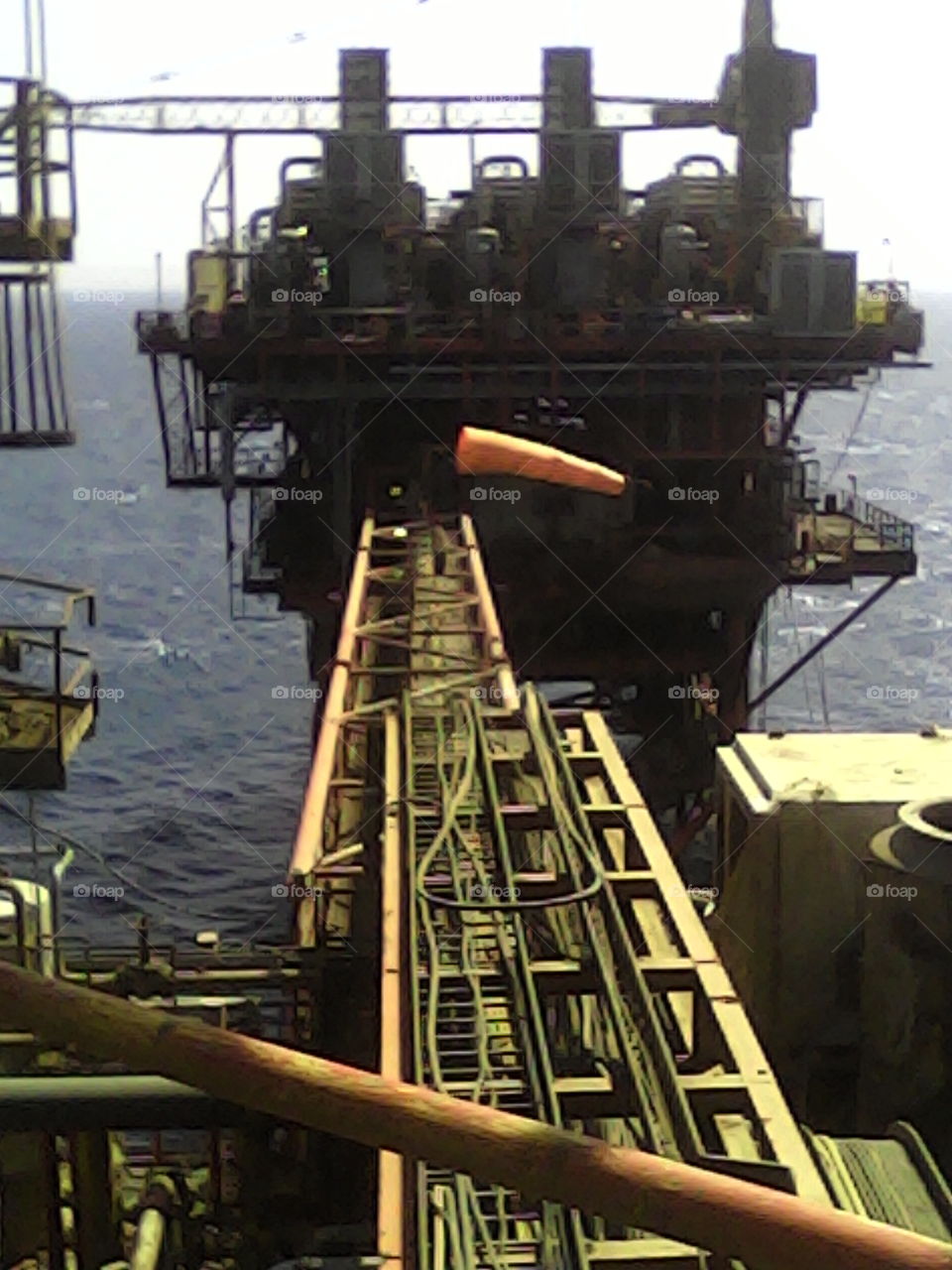 Offshore plants 
