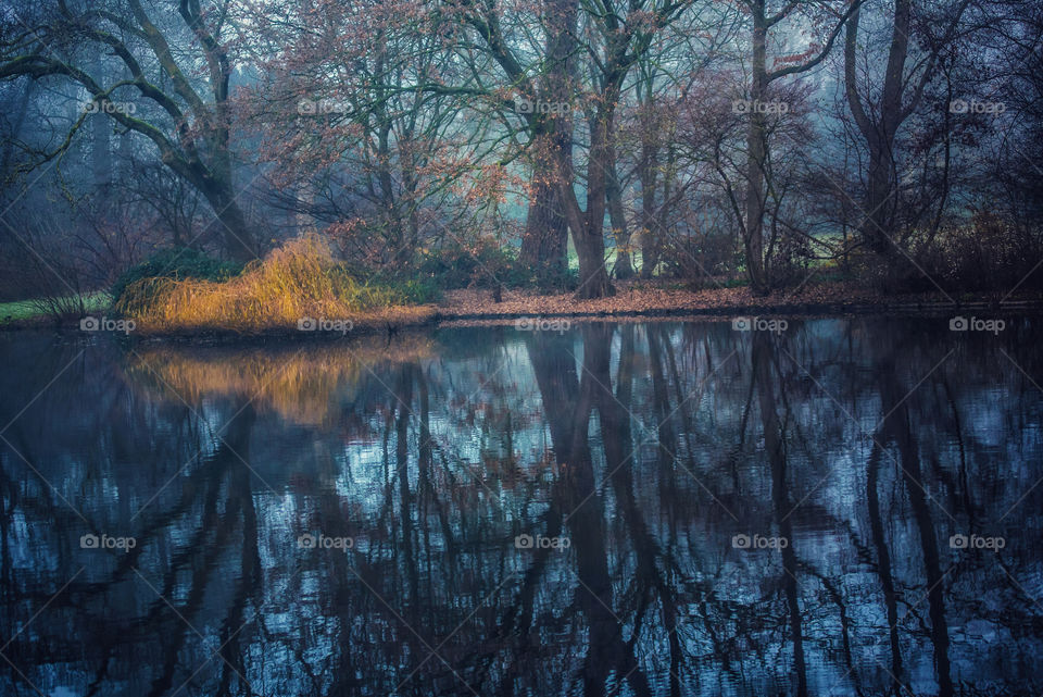 Foggy reflection 