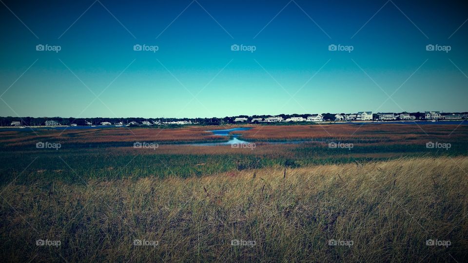 Martha’s Vineyard #lowtide #openfield