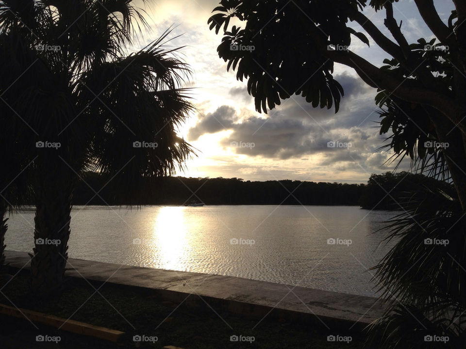 beach sunset sunny park by adaldt