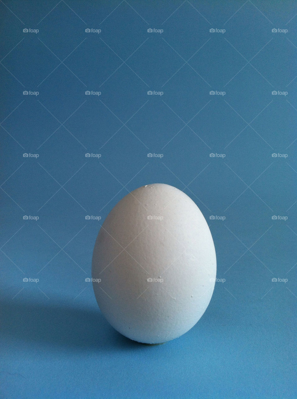 blue white egg shell by snapd