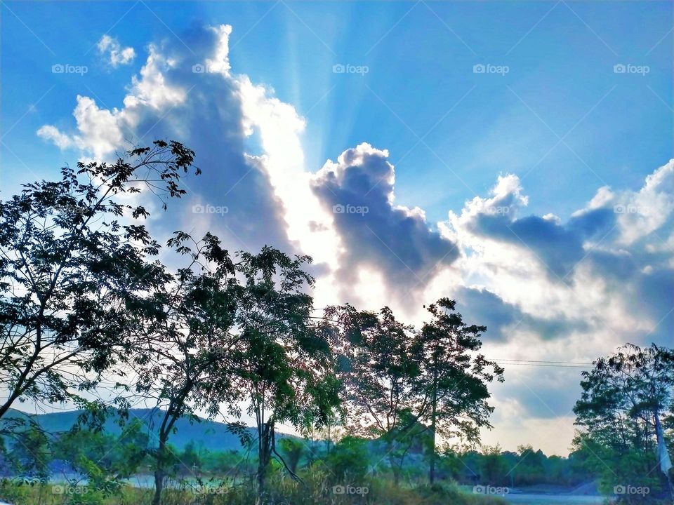 Trees, rivers, mountains,