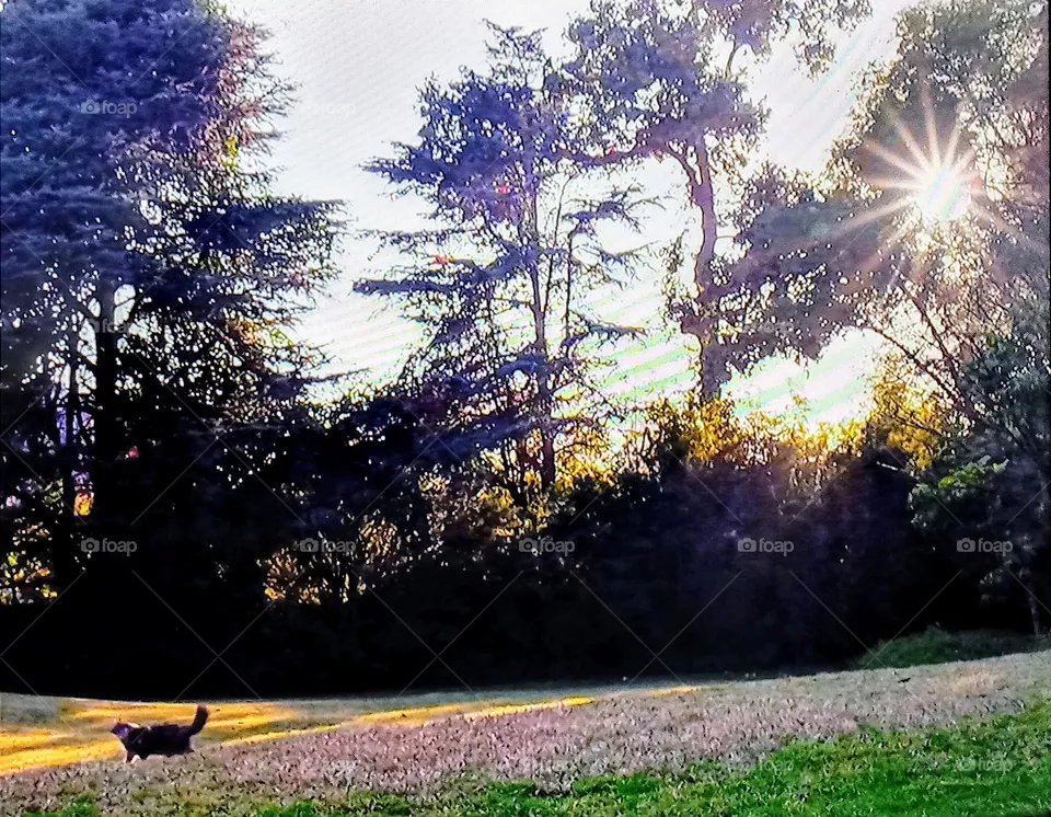 parc nature