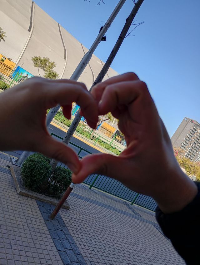 amor