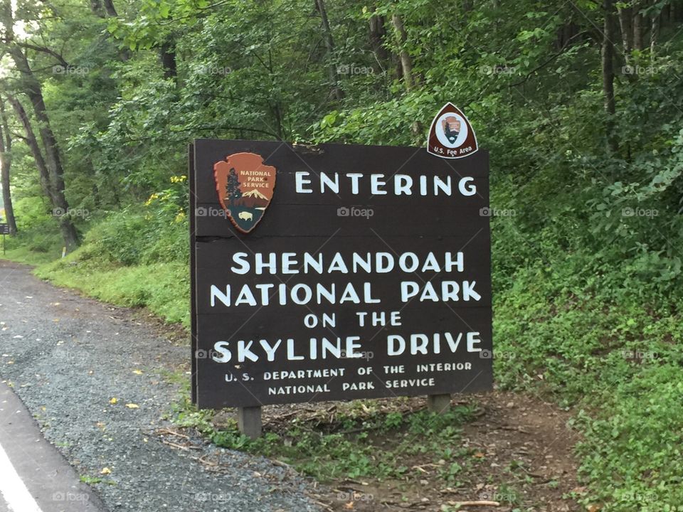 Shenandoah 