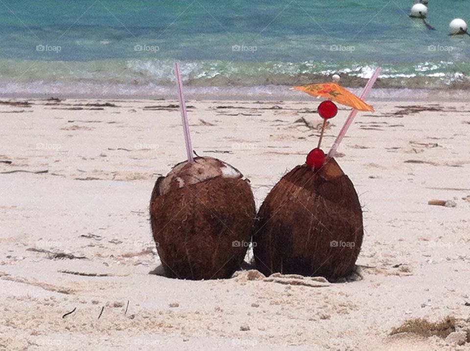 Coconuts in Nassau, Bahamas