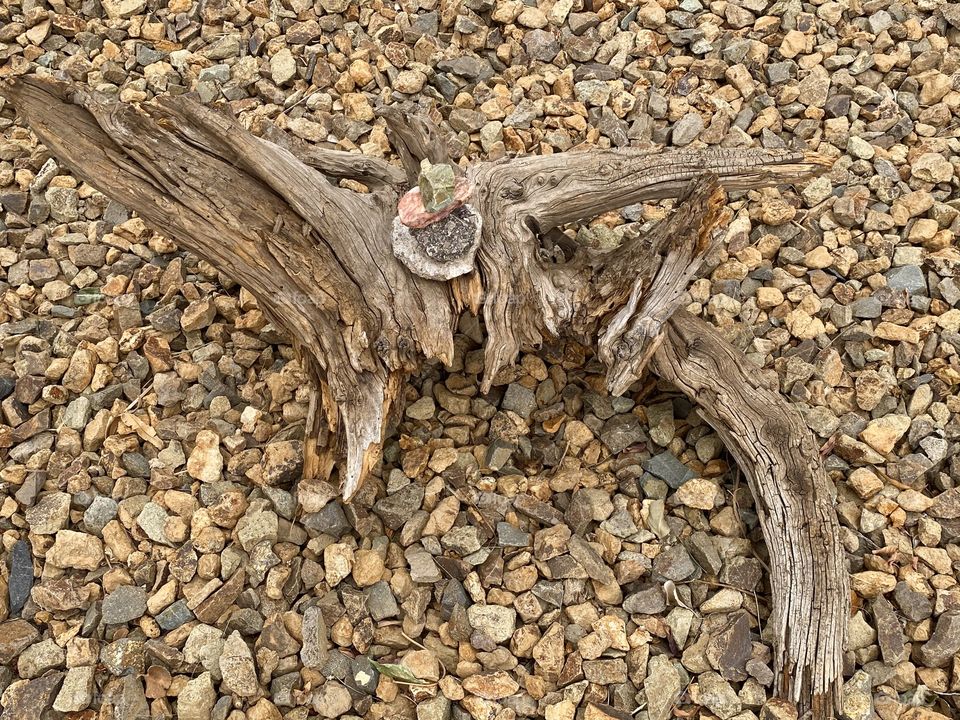 Driftwood 