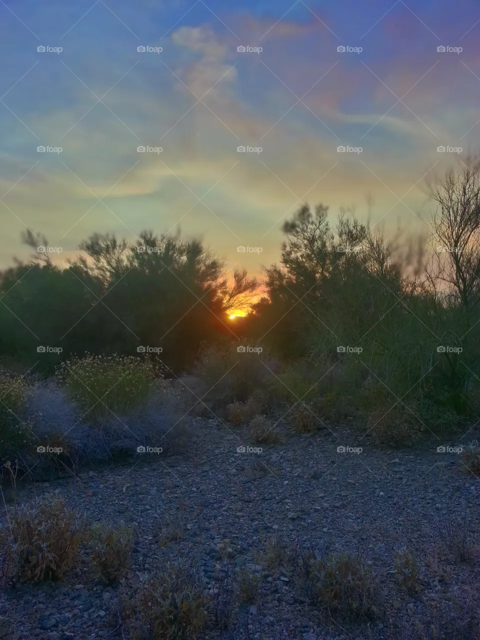 Sunset