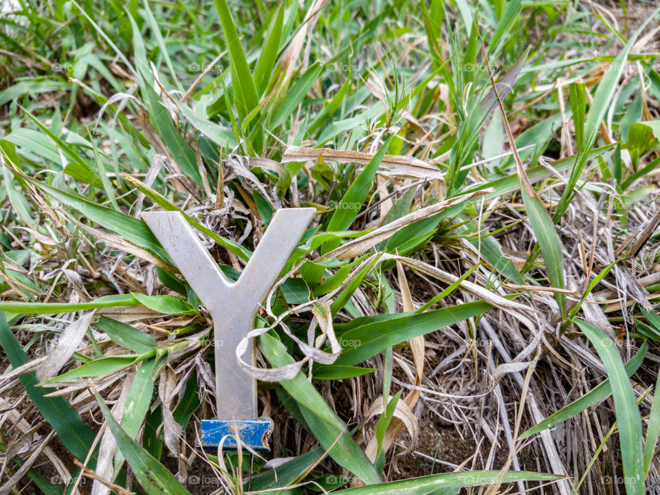 The letter "Y" in the grass on the side of the road