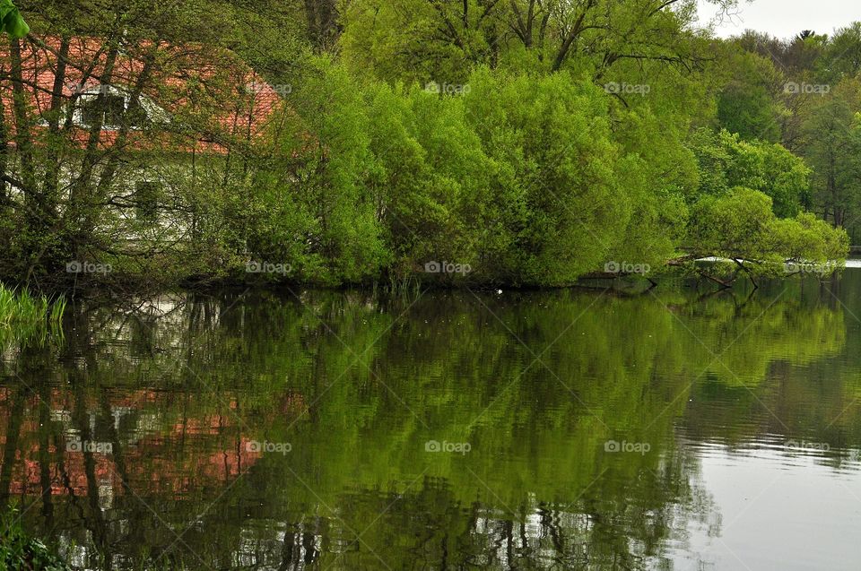 Water, Nature, River, Tree, Reflection