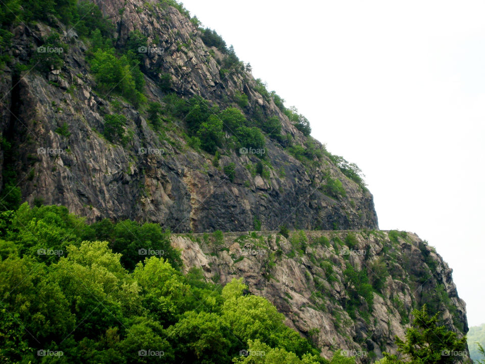 spring italy mountain trees by vincentm