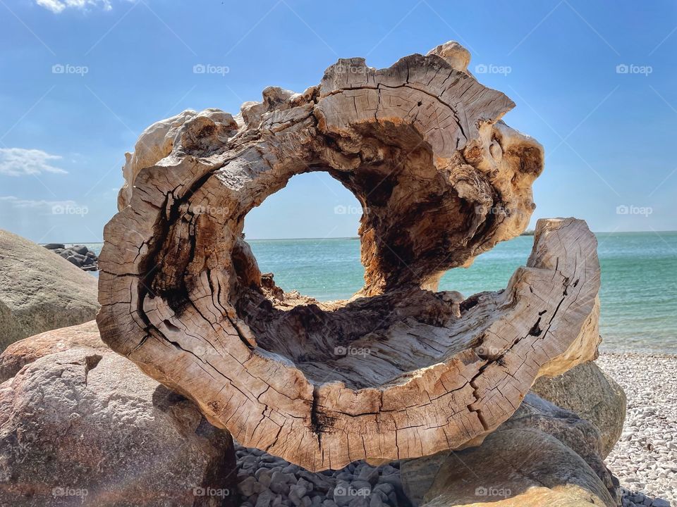 Old tree stump framing the beach 