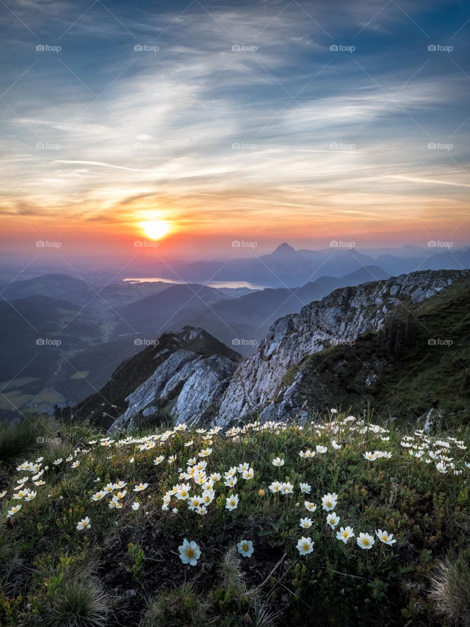 A stunning sunset on the beautiful mountain and a valley with beautiful flowers.