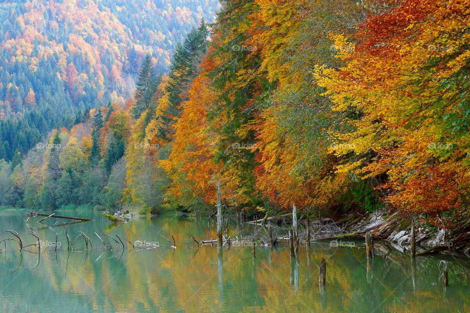 Lac de Vallon, miroir des couleurs d'automne (Alpes du Nord, France)