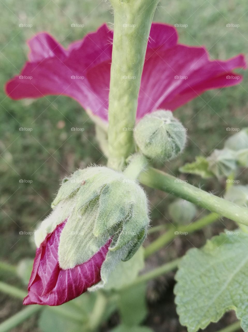 Here today..gone tomorrow