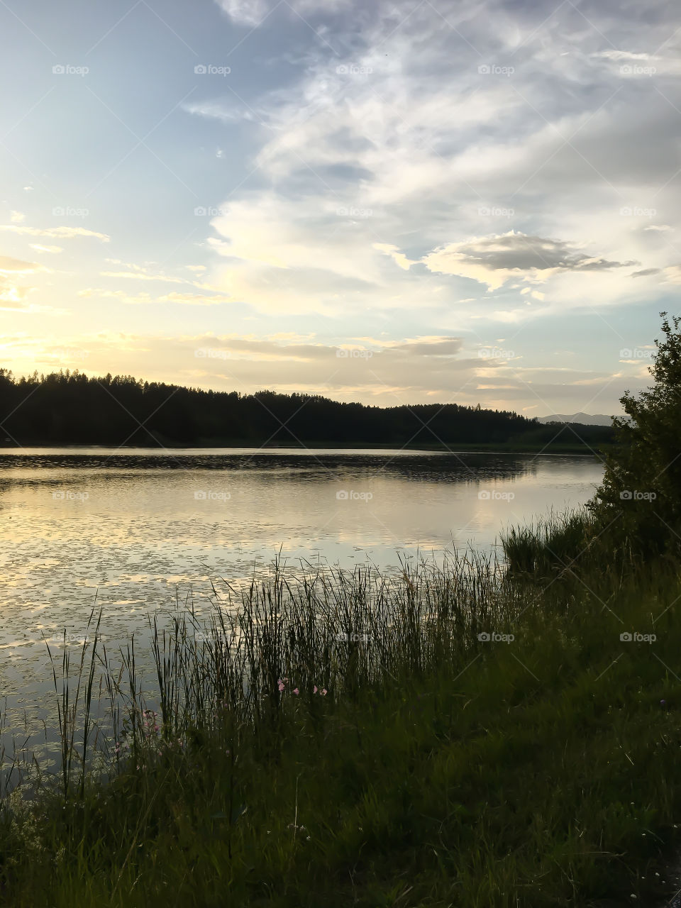 Silence at the Lake 