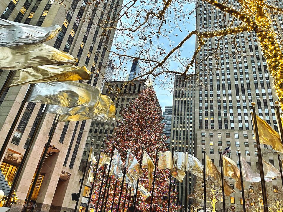 The tree at Rockefeller Center 