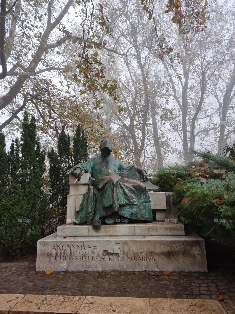 Lastima que no transmita el poder de la neblina al ver esta imagen.