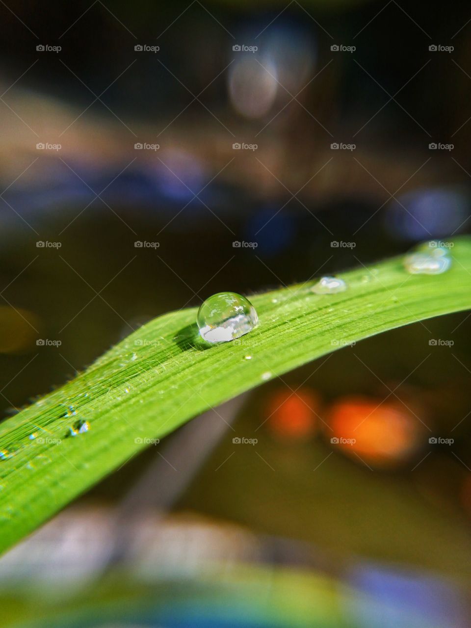 water drops
