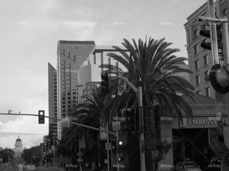 downtown office buildings. in downtown Sacramento taking pictures