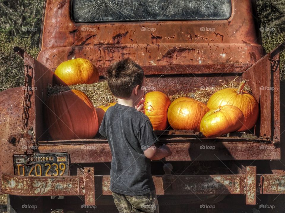 Boy At The Pumpkin Patch