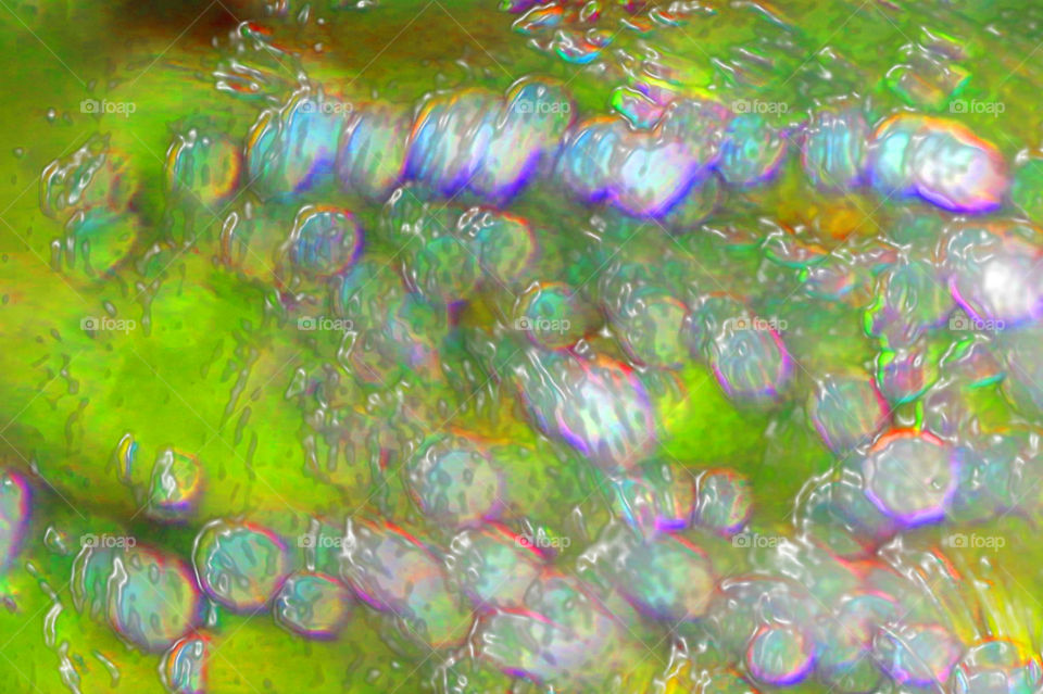 A colour abstract of water droplets on a pine branch in full sunlight. The sunlight created a prismatic effect on the droplets and I further enhanced using desktop tools. Fun!! ๐