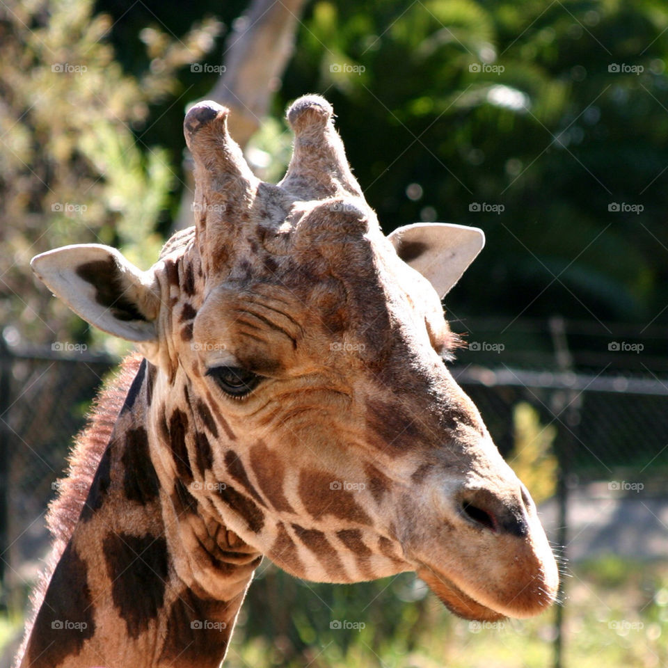 nature red pattern orange by hlehnerer